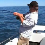 VIDEO: Monster snapper on a soft plastic